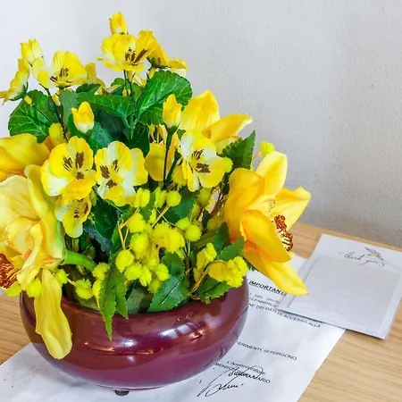 Escargot Appartement Breuil-Cervinia